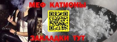 прущие грибы Пенза