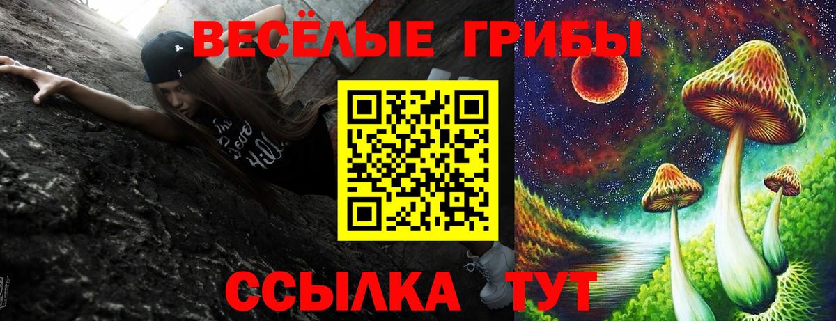Галлюциногенные грибы мицелий Свободный